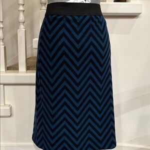Nwt. Winter pull on skirt
